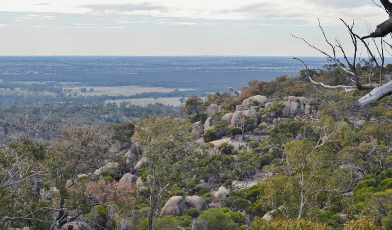 Granite boulders line the side of the hill at Kooyoora State Park
