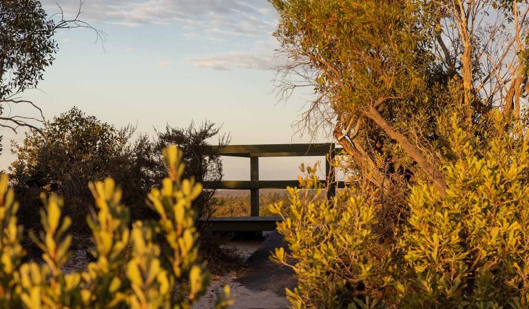 The path to the lookout at Pomponderoo Hill in warmth of the early evening sunshine