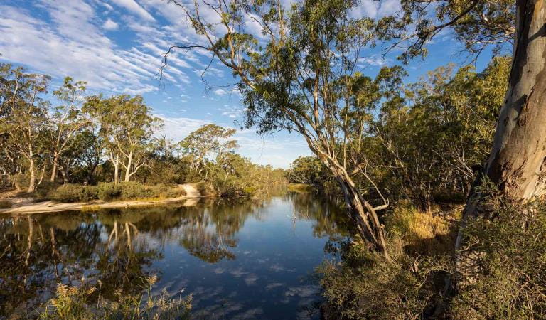 The Wimmera River near Ackle Bend Campground in Little Desert National Park