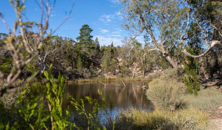 The Wimmera River at Horsehoe Bend in Little Desert National Park