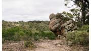 A rugged bushland landscape. A large rust coloured boulders stands tall. 