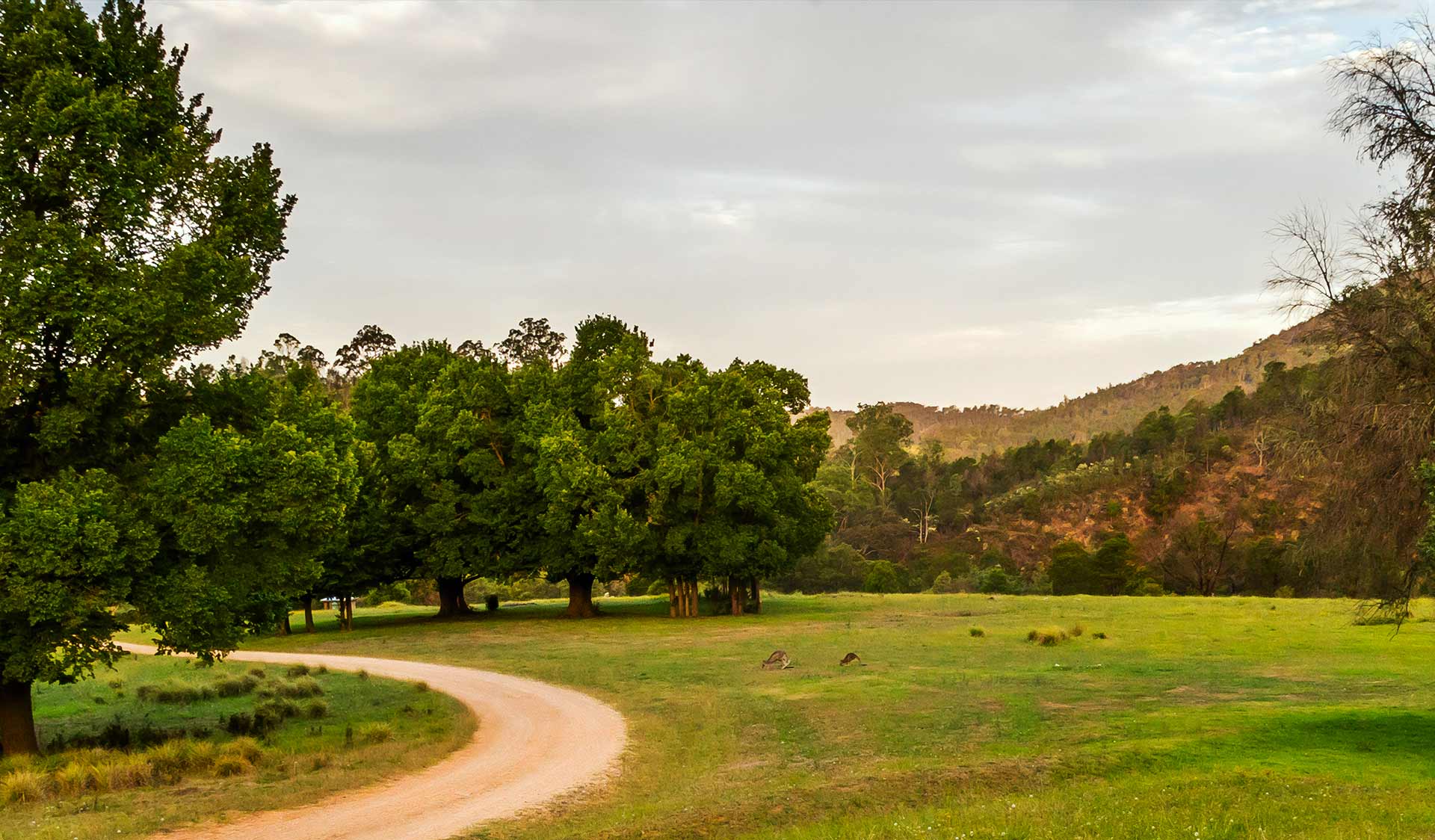 The camping area at Angusvale in the Mitchell River National Park.