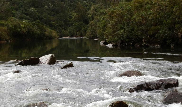 Billy Goat Bend on the Mitchell River National Park.