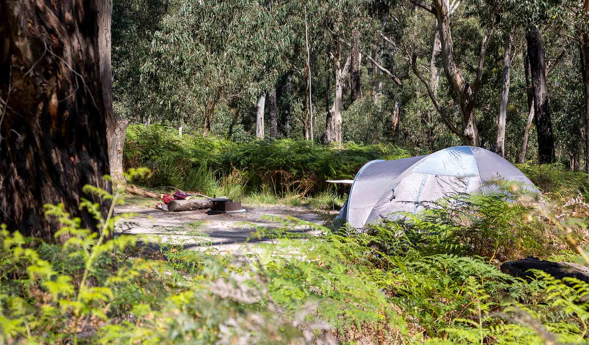 Ferntree Camping Area