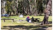 A small number of women sit at picnic tables at Middle Creek Camping Area at Mount Buangor State Park
