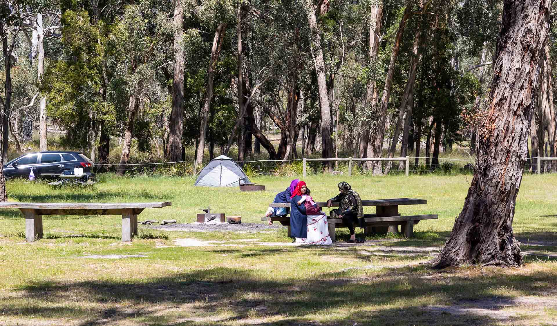 Middle Creek Camping Area