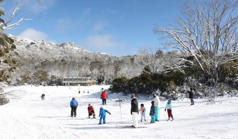 A family take a cross country skiing lesson at Dingo Dell at Mount Buffalo National Park