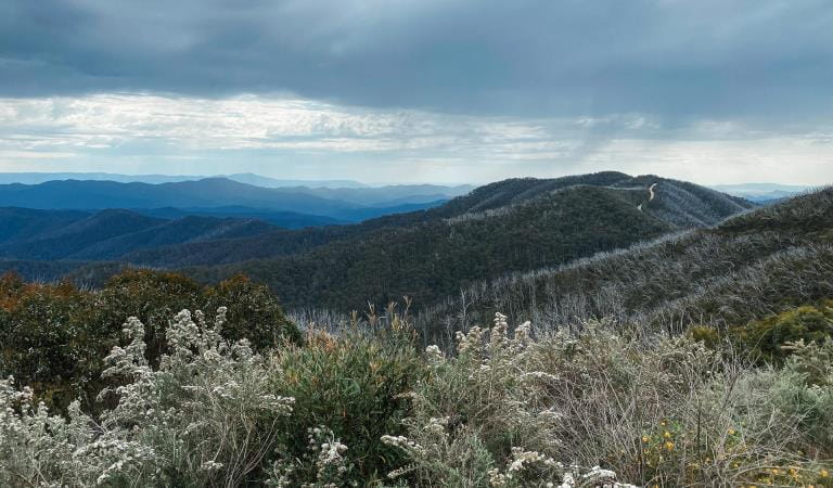 View from Mount Skene Natural Features and Scenic Reserve