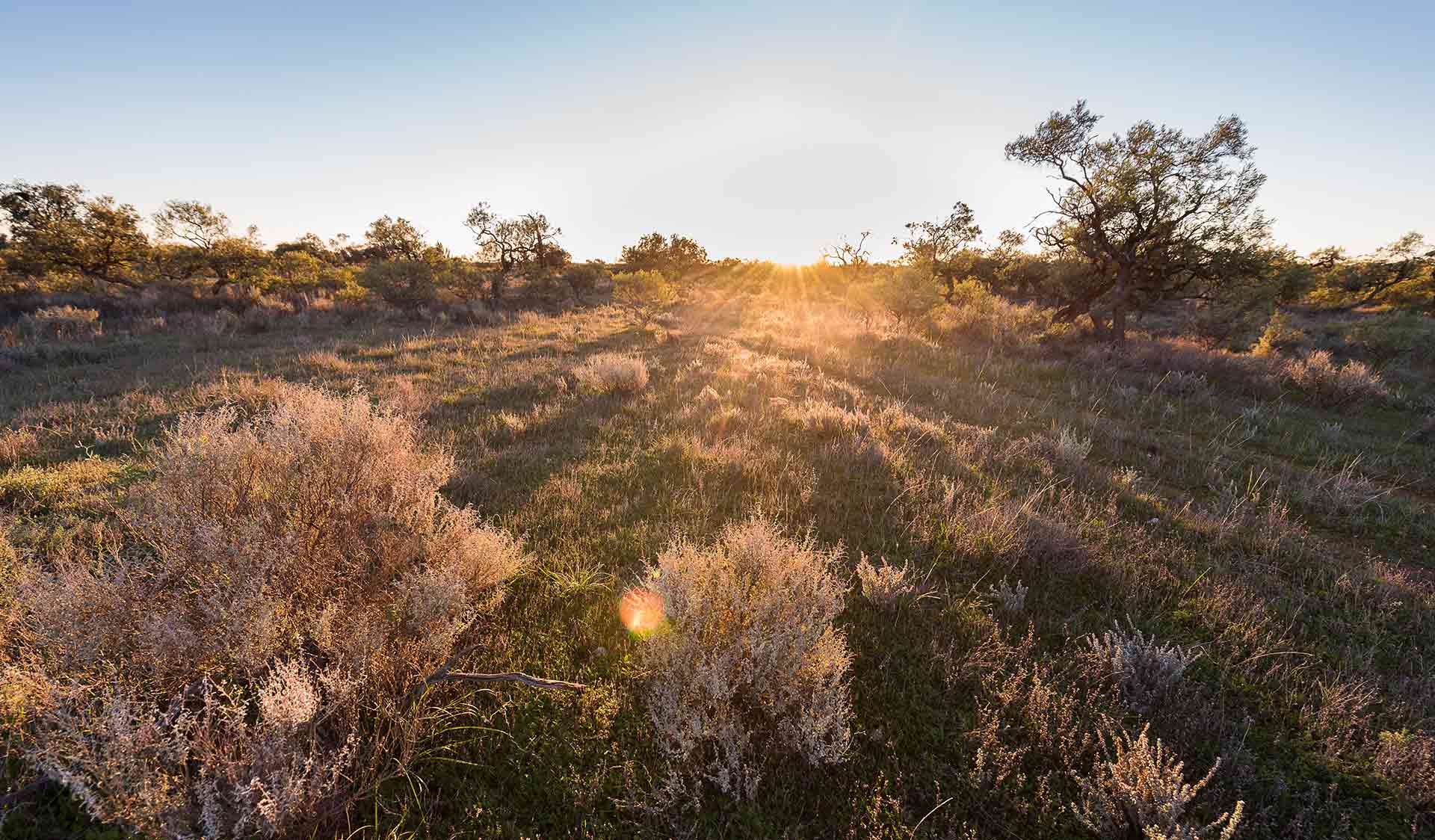 Sunset over the Mallee landscape