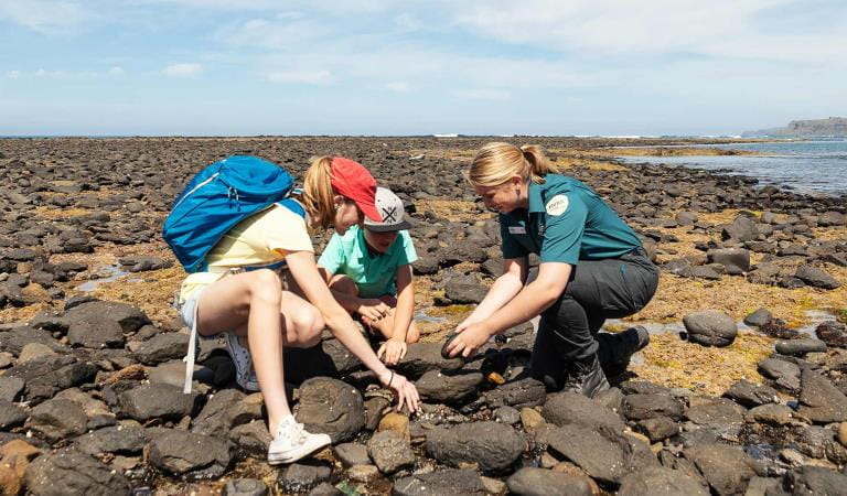 A Park Ranger looks at a rock pool with two young children. 