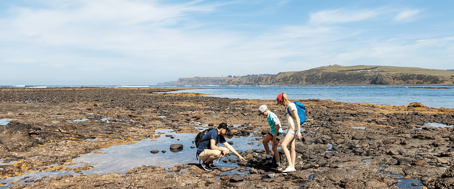 On a rock pool a father points to things of interest as his two children look on and observe.