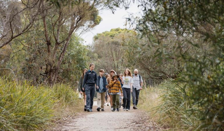 Group of junior rangers walking through path in Ocean Grove Nature Reserve
