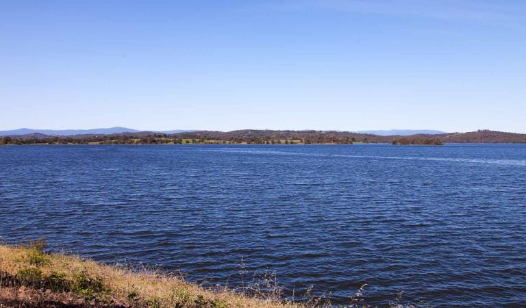 The water's edge at Sugarloaf Reservoir Park