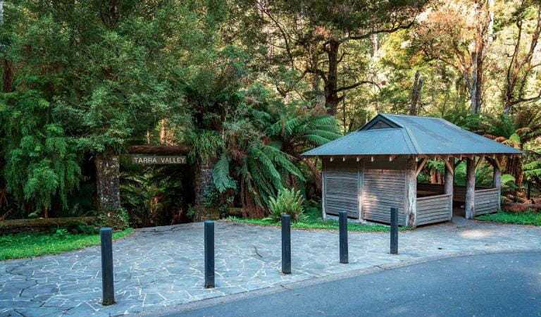 Picnic area and carpark at Tarra Valley in Tarra Bulga National Park