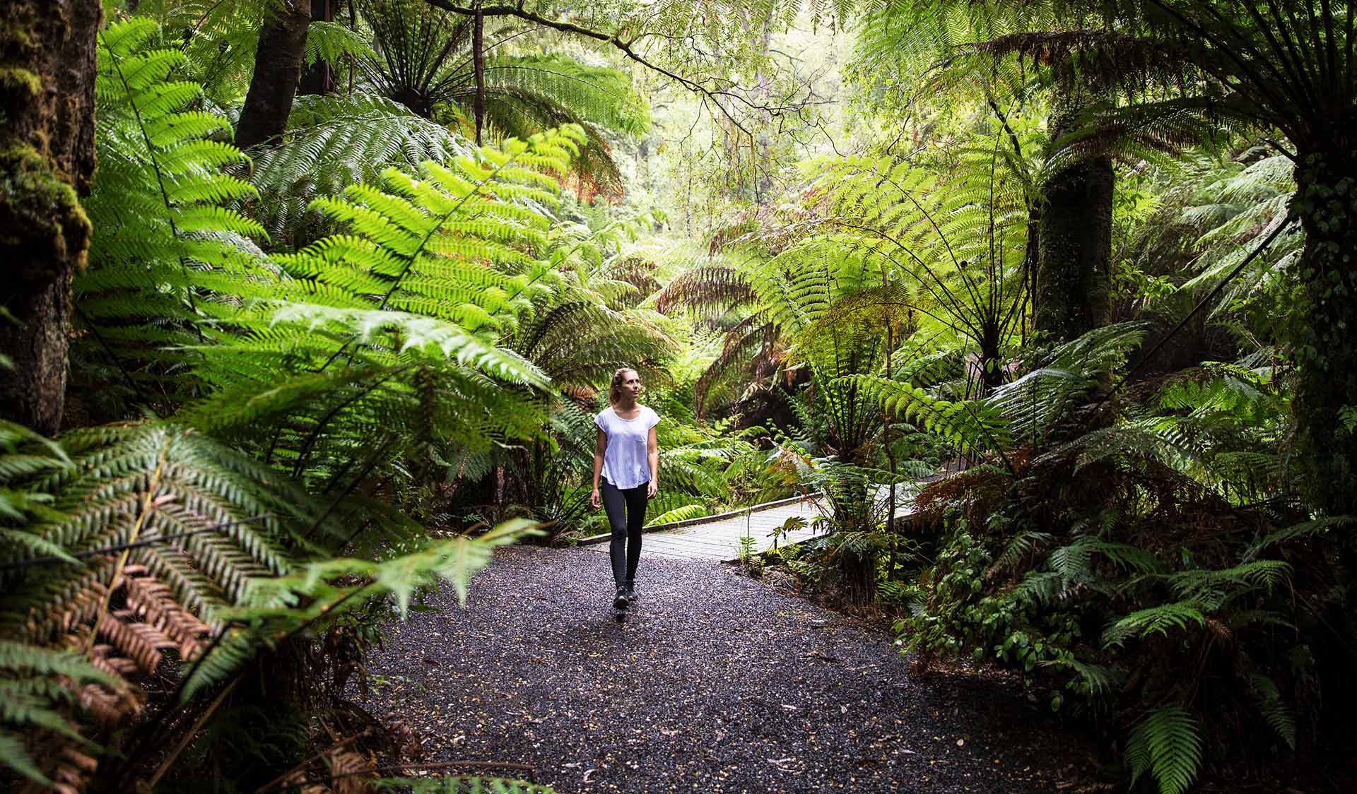 A woman walks through a path at Tarra-Bulga National Park. 