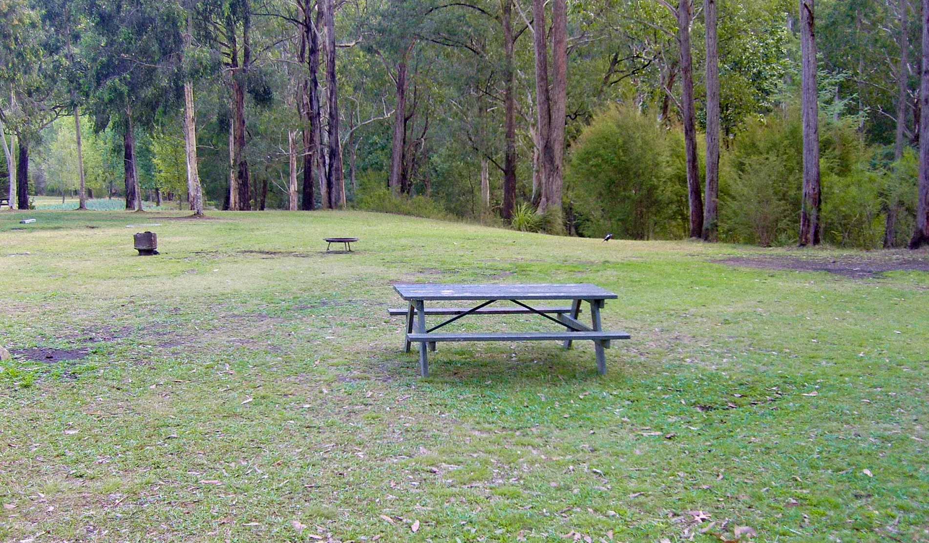 Upper Yarra Reservoir Camping Area