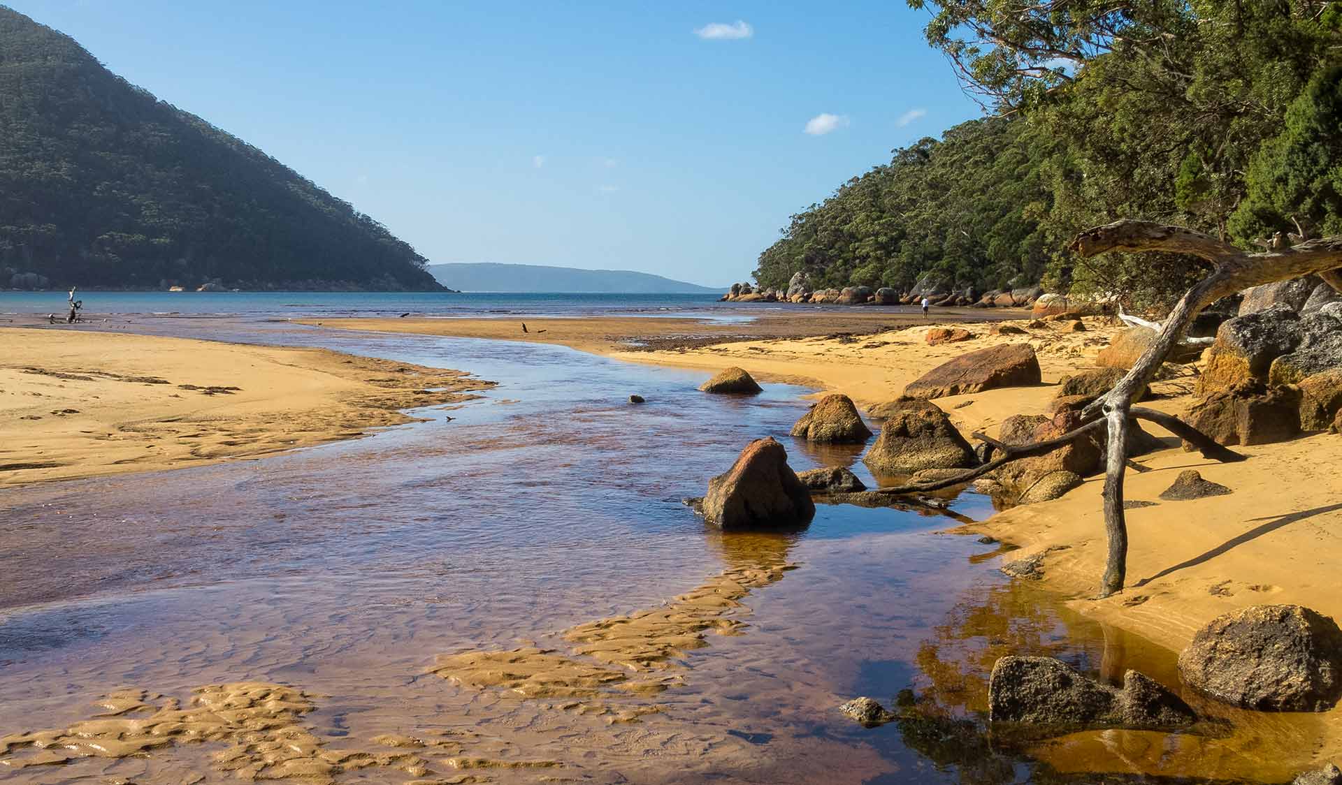 The creek flowing through Sealers Cove beach at Wilsons Promontory National Park