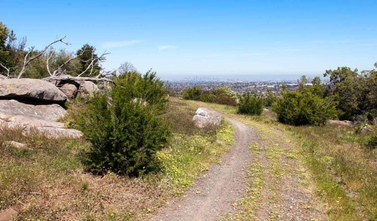 The view of the Melbourne skyline from the top of Gellibrand Hill at Woodlands Historic Park