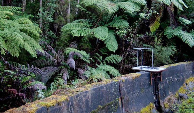 A section of the O'Shannesy Acquaduct near Warburton.