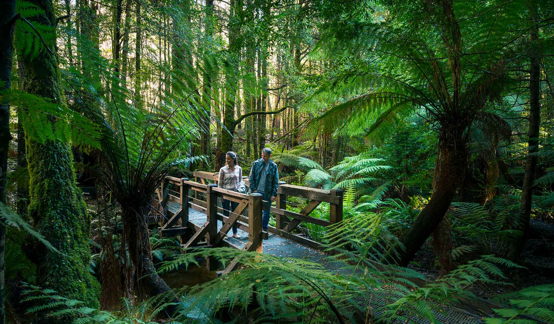 A couple cross an old bridge deep in a lush rainforest near Cambarville.