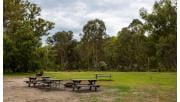Picnic tables around a fire place in front of tall river red gums at Longridge Campground at Yarra Valley Parklands
