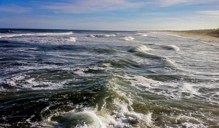 Waves crashing in the shallows