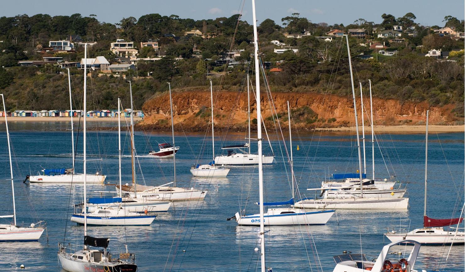 yachts moored in a bay