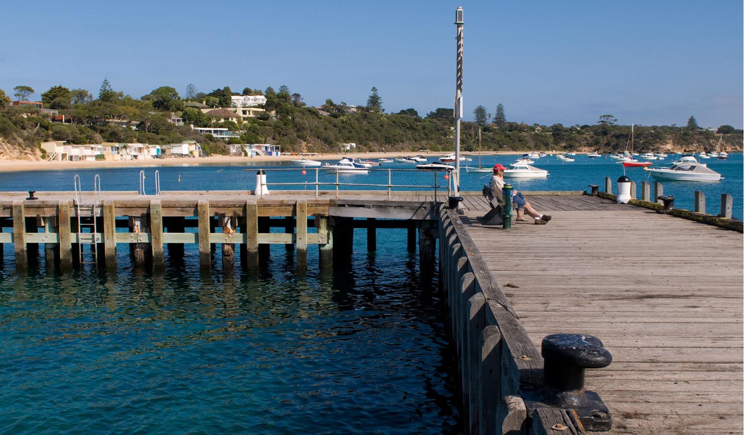 a person sitting on a bench on a pier with boats in the background