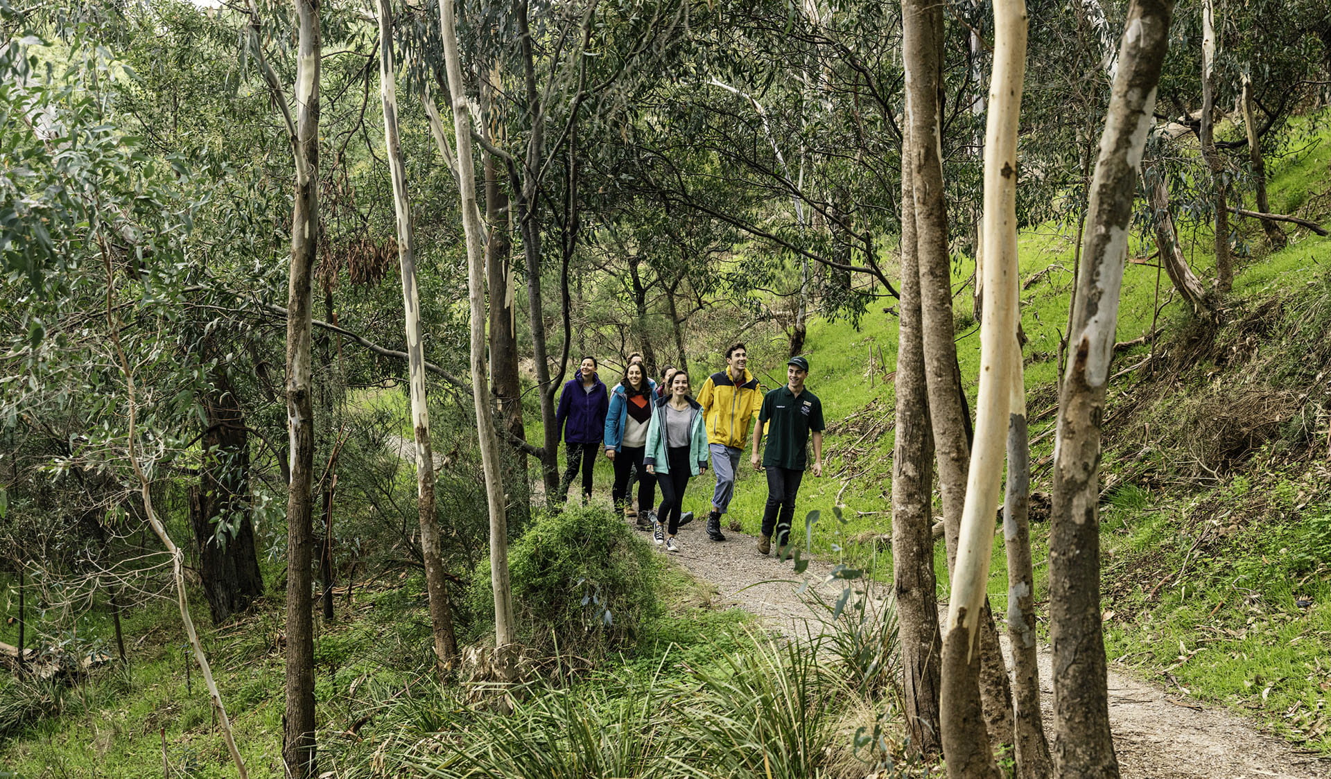 A group of volunteers walking through Yarra Bend Park