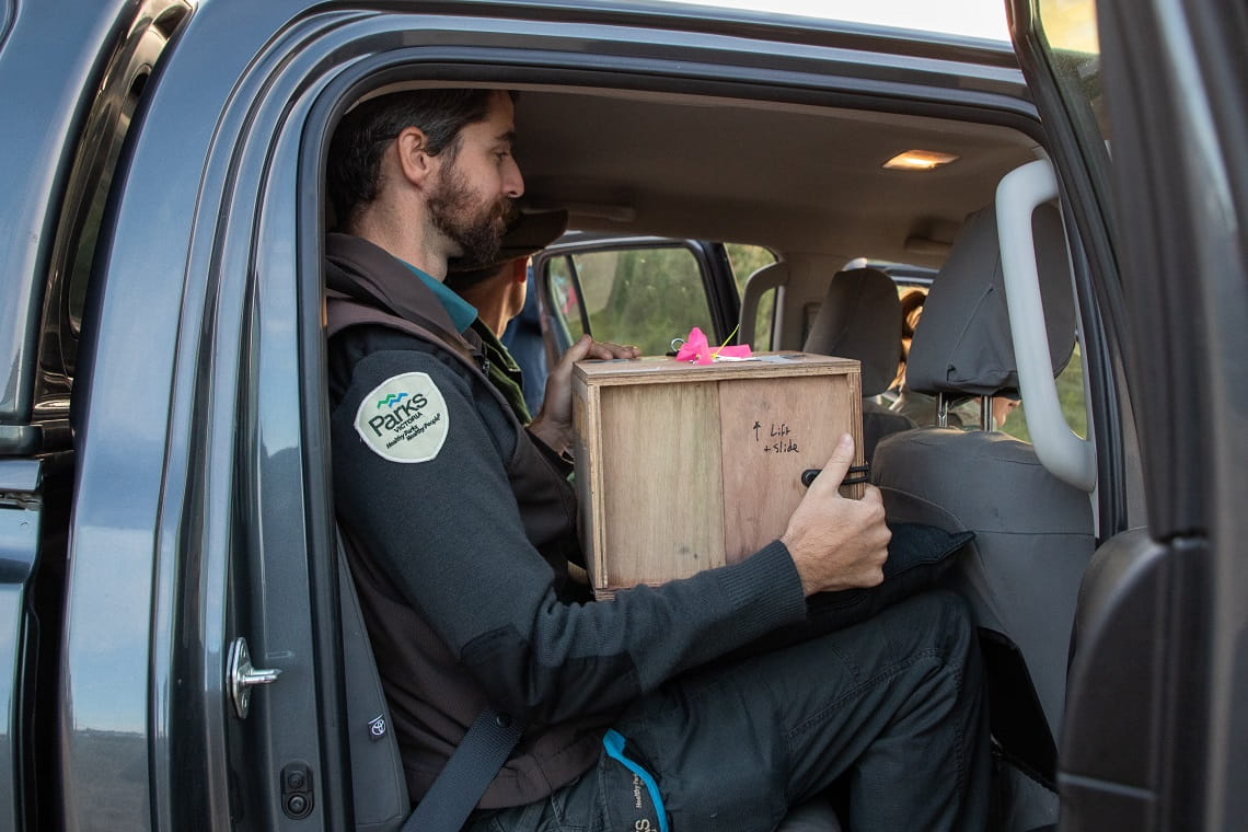 The silent car journey in the special box