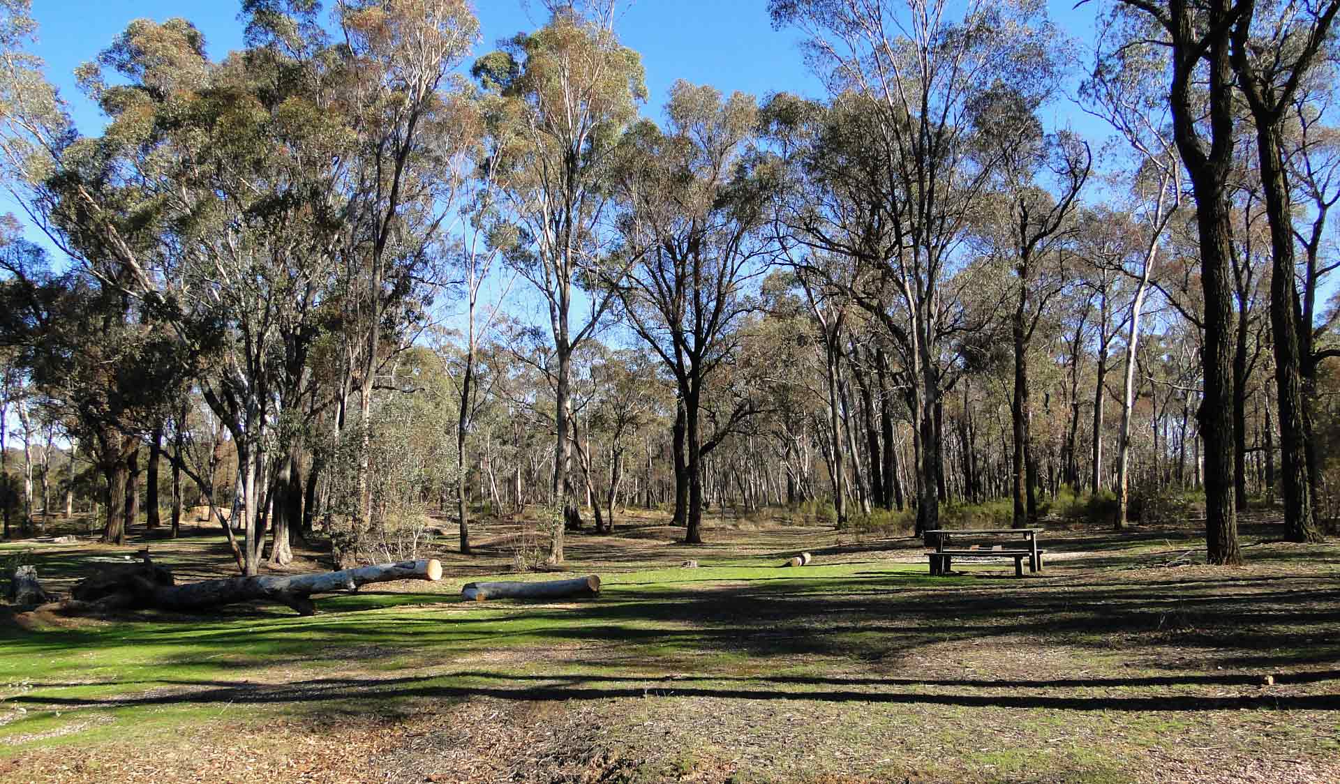 Explore a rugged native landscape on the edge of Bendigo