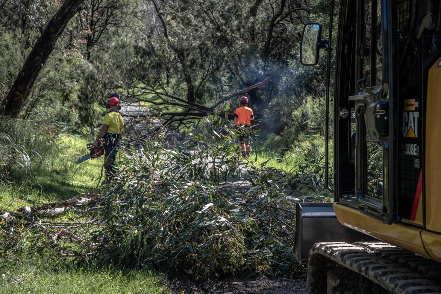 Tree removal works along stategic access road