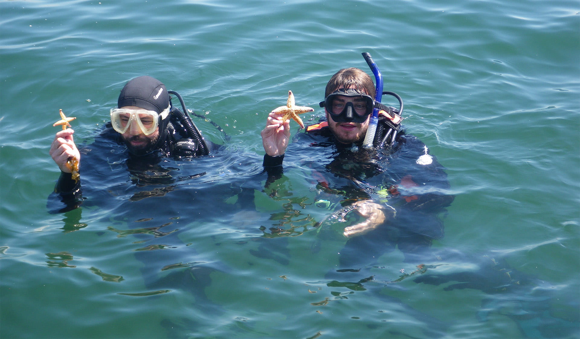 Two volunteer divers in the water holding up marine pests