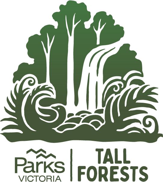 Tall forests