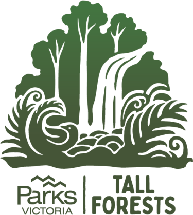 Tall forests