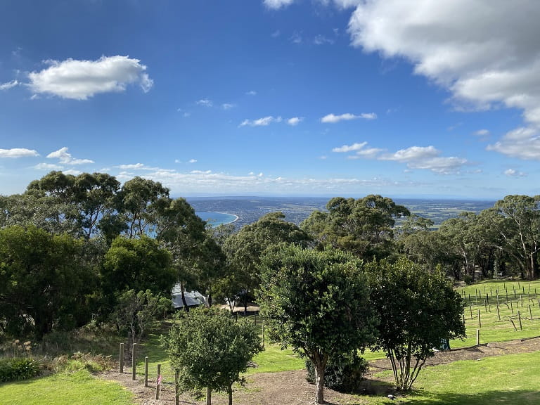 Arthurs Seat Summit Lookout
