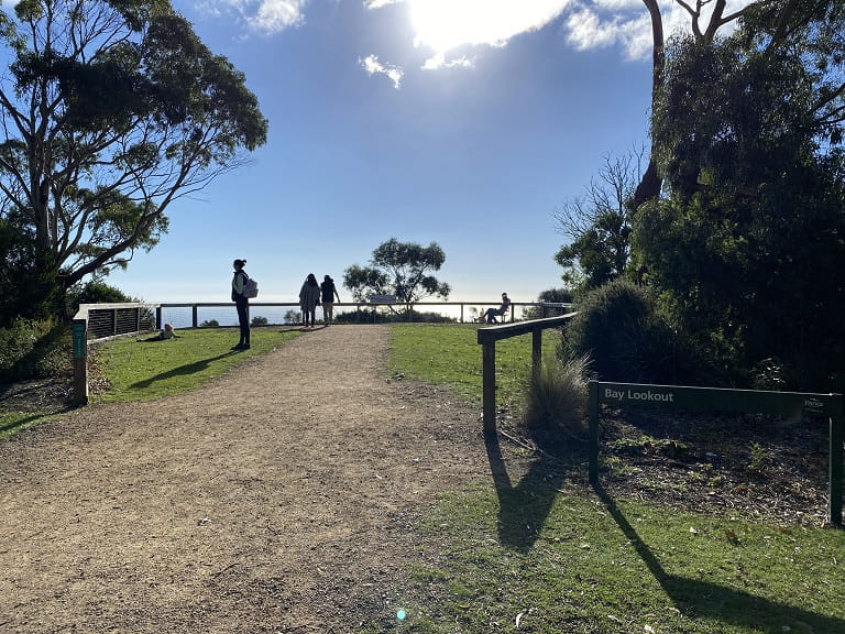 Arthurs Seat Bay Lookout