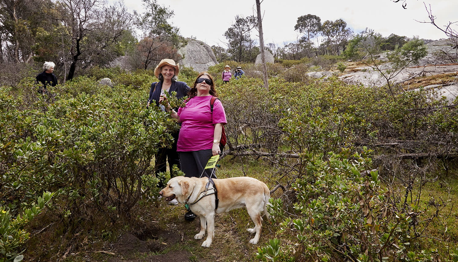 Assistance dogs in You Yangs Regional Park