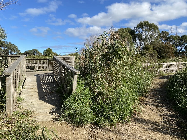 Coolart Crake Observation and Path