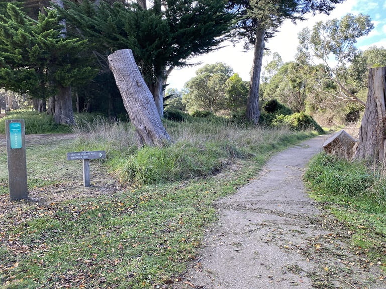 Coolart Minsmere Path