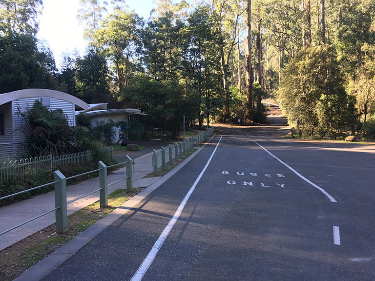 Grants Picnic Ground coach carparking bays