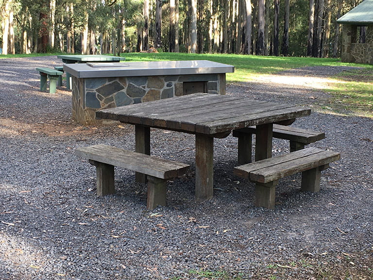 One Tree Hill picnic area