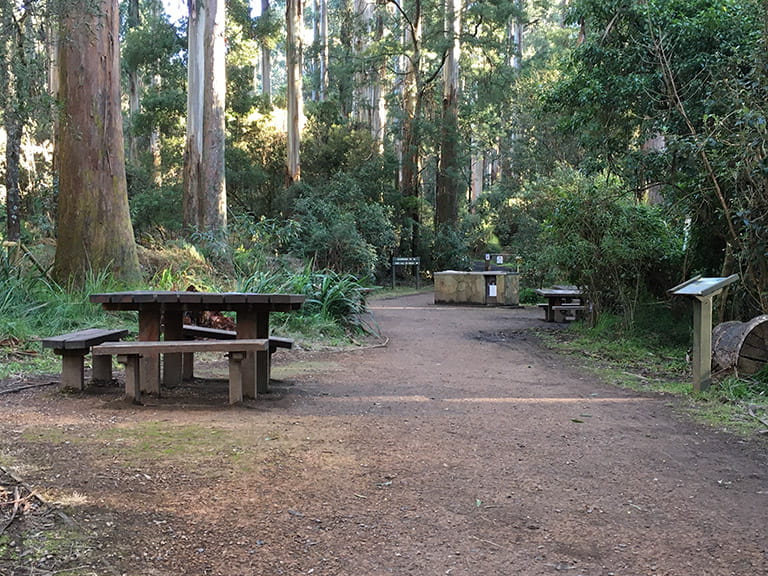 Sherbrooke Picnic Ground accessible picnic table and barbecue