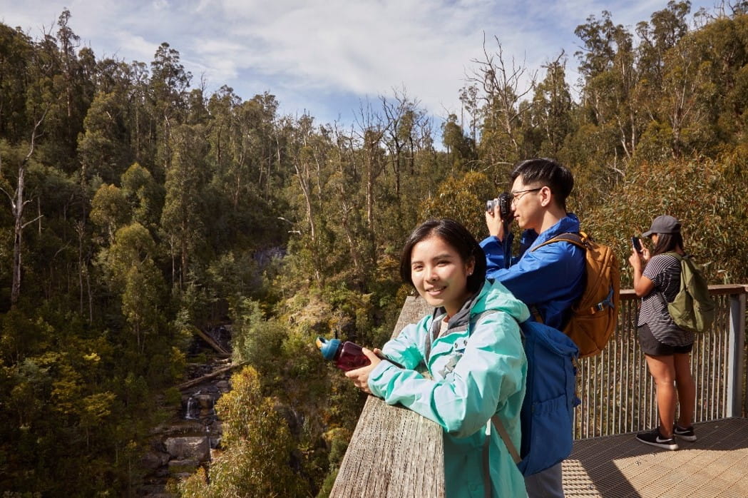 Masons Falls lookout