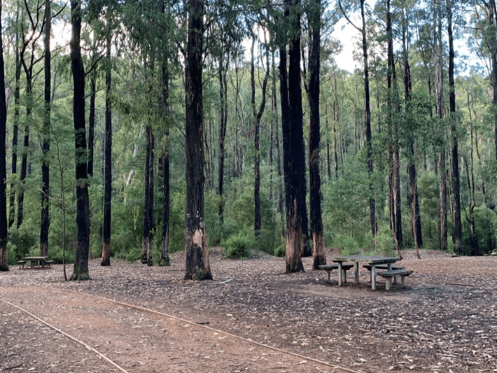 Path to walking tracks