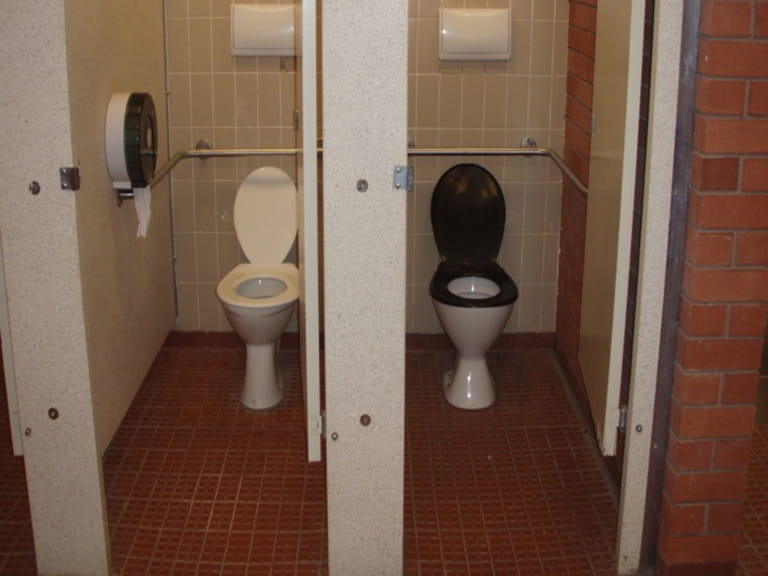 Toilets with grab railings at Henderson's Picnic Area