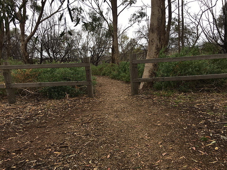 The path to the Lookout Walk at Organ Pipes National Park.
