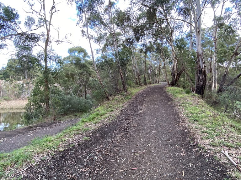 Plenty Gorge Yellowgum Walking Path