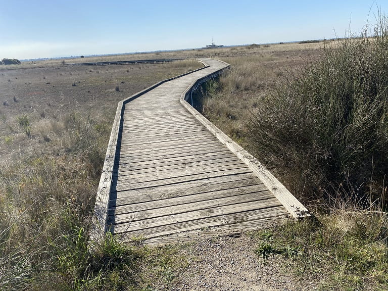 Point Cook Cheetham Wetlands