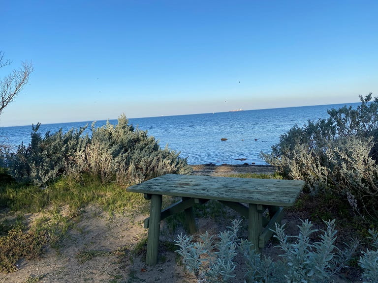 Point Cook Homestead View